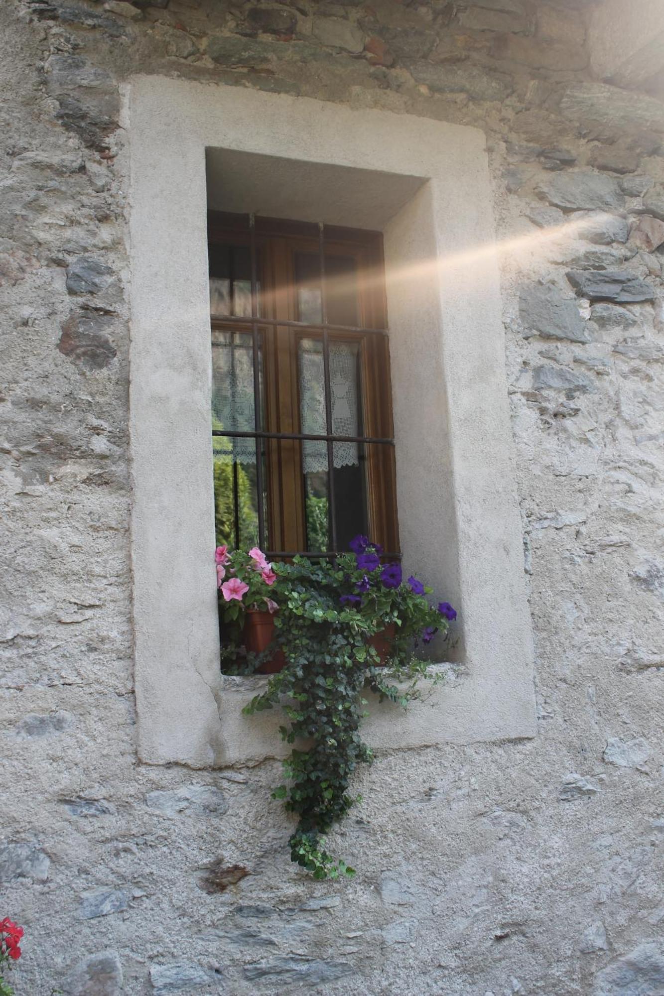 La Maison Des Vignerons Chambres D'Hotes B&B Donnaz Exterior foto